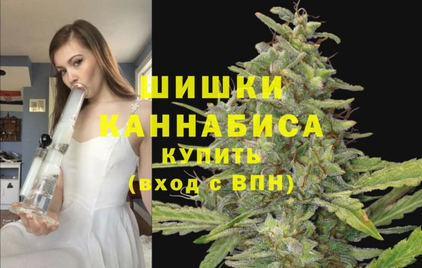 прущие грибы Арсеньев