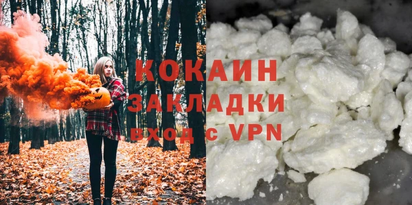 прущие грибы Арсеньев