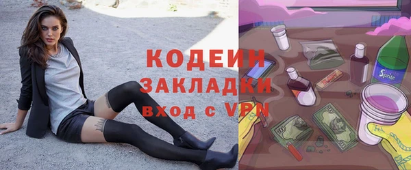 прущие грибы Арсеньев