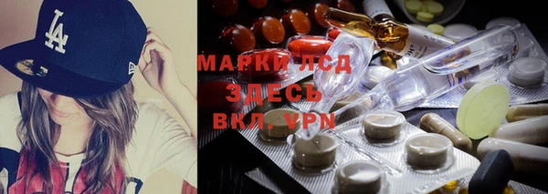 прущие грибы Арсеньев