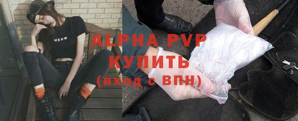 прущие грибы Арсеньев